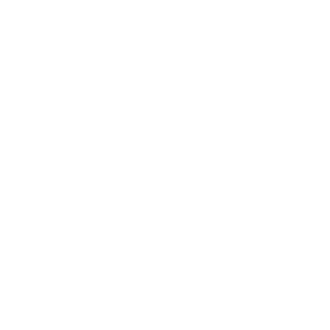 ebay-300x300